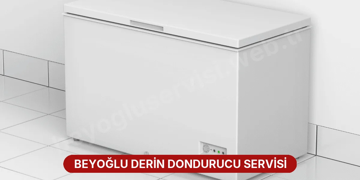 Beyoğlu Derin Dondurucu Servisi