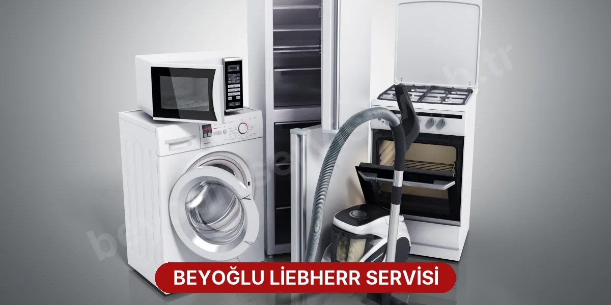Beyoğlu Liebherr Servisi