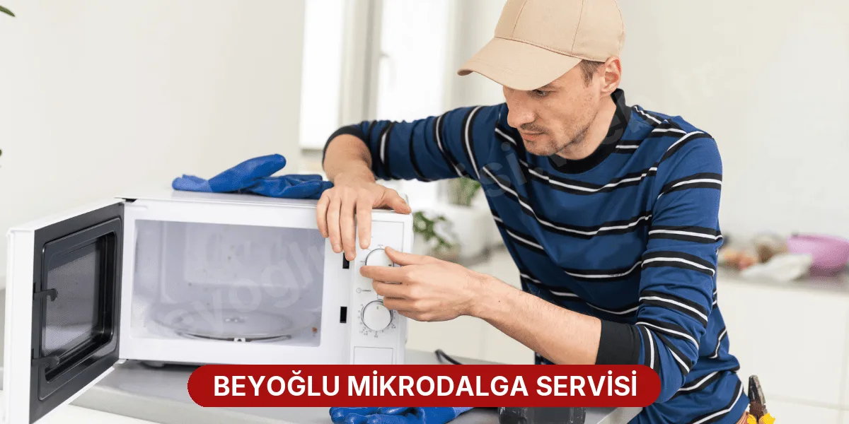 Beyoğlu Mikrodalga Servisi